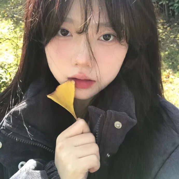 我的海獭先生